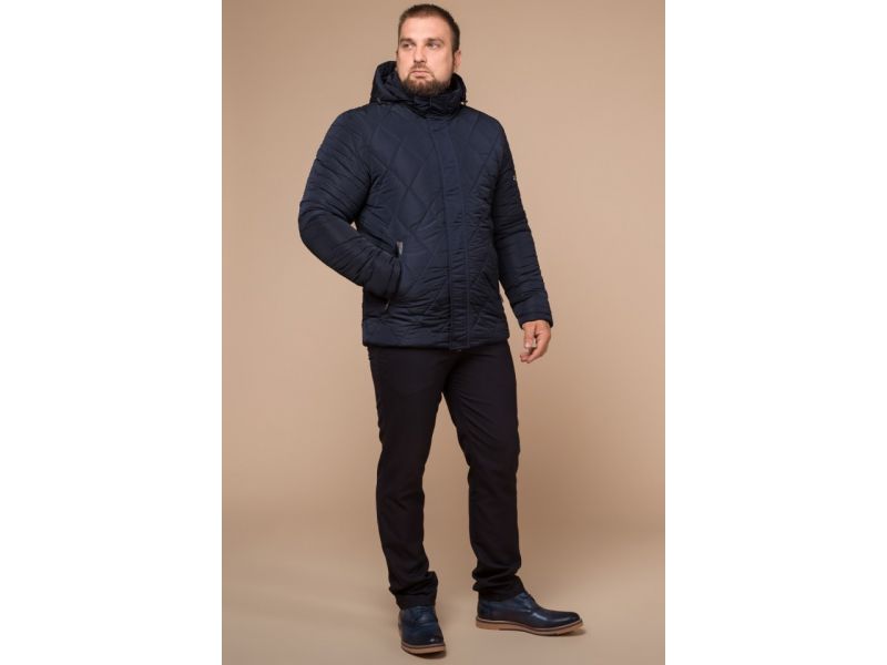 Синяя комфортная мужская куртка на зиму модель 19121, фото 2
